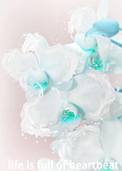 设计巧妙牛奶与蝴蝶兰的巧妙结合高清图片