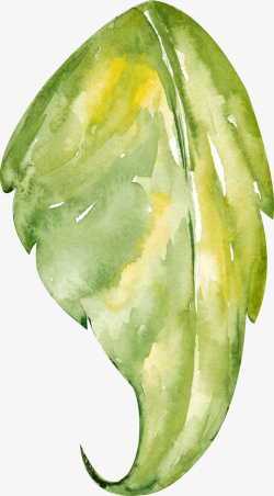 手绘水彩绿叶植物素材
