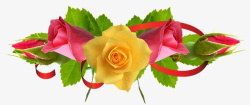 美极了玫瑰抠图美极了装饰高清图片