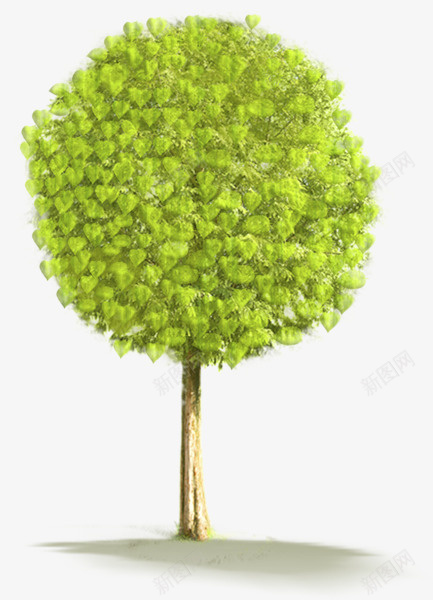 植物树叶和树绿色png免抠素材_新图网 https://ixintu.com 树 绿色 植物 落叶