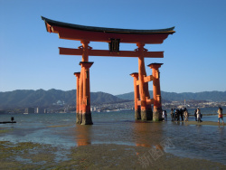 日本地标景点鸟居背景