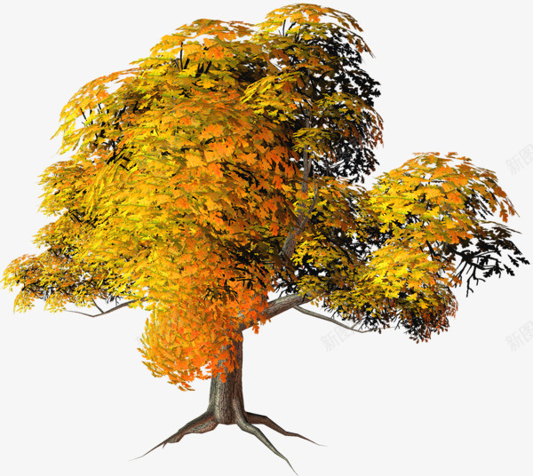 植物树叶和树秋天png免抠素材_新图网 https://ixintu.com 树 绿色 植物 落叶