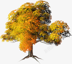 植物树叶和树秋天素材