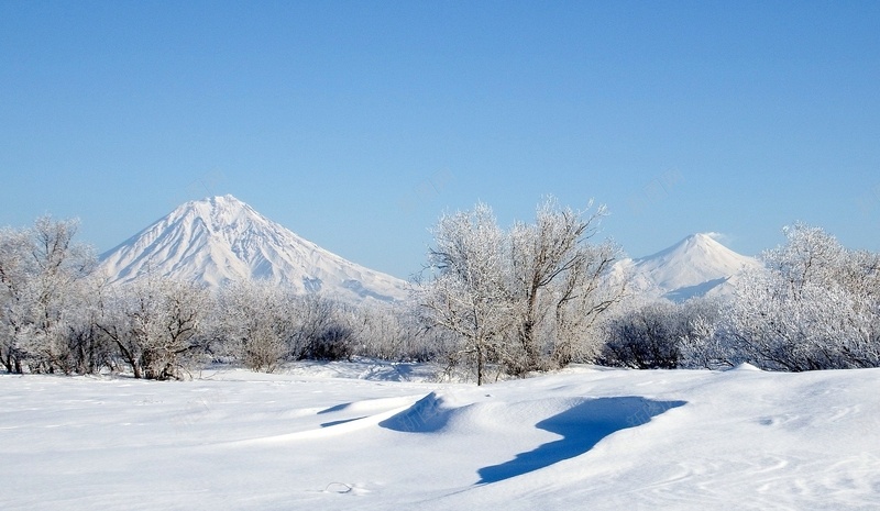 圣诞冬季背景19201116jpg设计背景_新图网 https://ixintu.com 圣诞节 12月 冬季 下雪