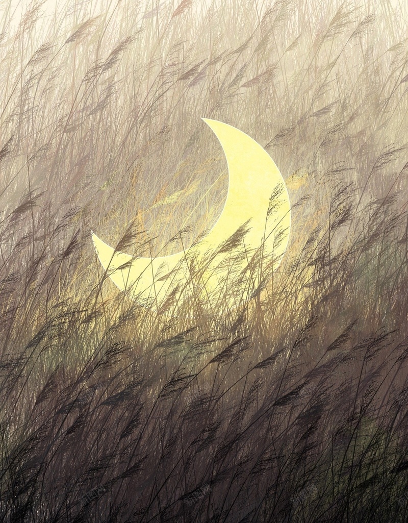 草丛了的月亮jpg设计背景_新图网 https://ixintu.com 月亮 草丛 文艺 清新