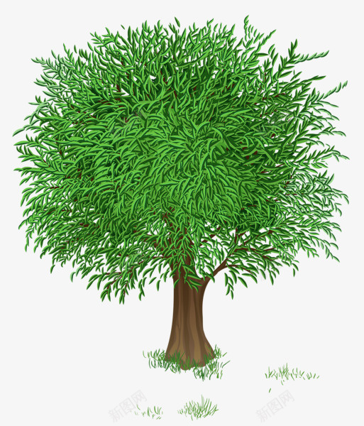 植物树叶和树散开png免抠素材_新图网 https://ixintu.com 树 绿色 植物 落叶