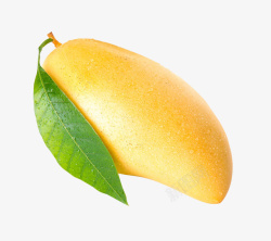 新鲜的芒果泰国水果芒果高清图片