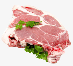 免抠新鲜牛肉素材