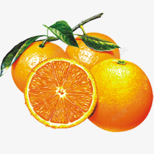 橙色橘子素材png免抠素材_新图网 https://ixintu.com AI素材橙子 橘子 橙色 水果 素材