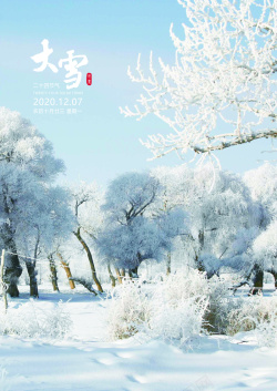 冬天的雪大雪节气2020高清图片