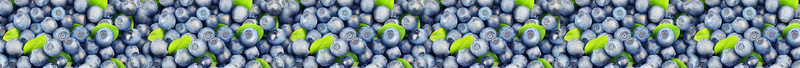 拼接的蓝莓5918504jpg设计背景_新图网 https://ixintu.com 蓝莓 水果 拼接 标签背景