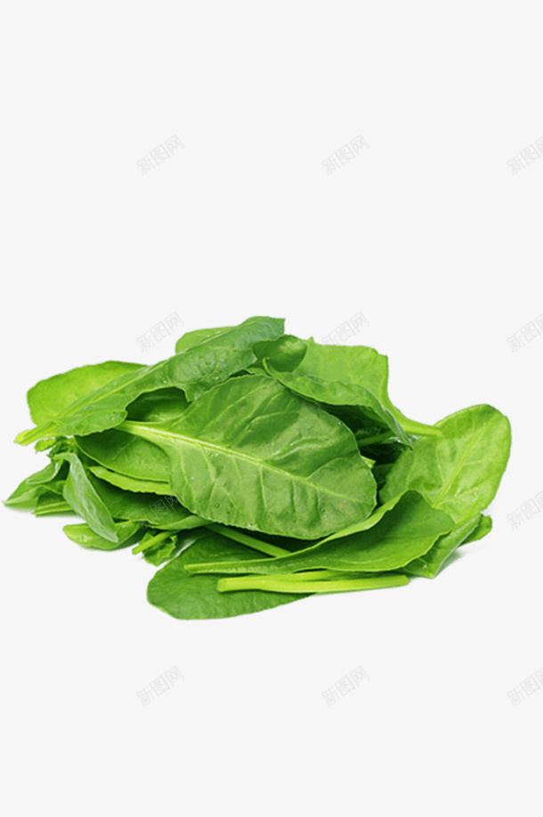 新鲜蔬菜叶子美味psd免抠素材_新图网 https://ixintu.com 蔬菜 美味 绿色 健康