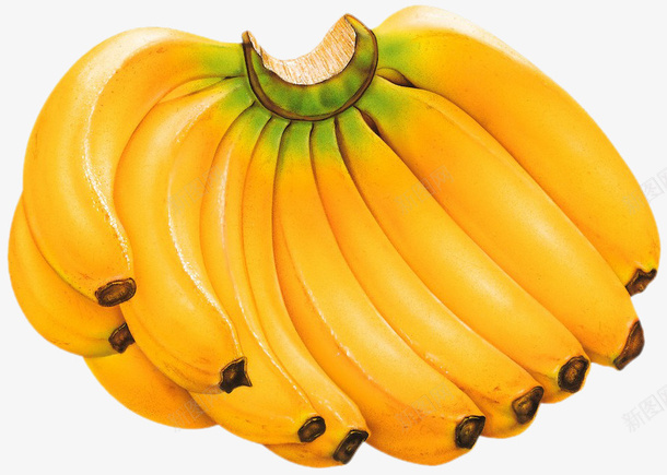 各种水果图片香蕉水果图片高级水果png免抠素材_新图网 https://ixintu.com 各种水果图片 大香蕉大 水果图片 香蕉 高级水果