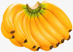 水果香蕉png各种水果图片香蕉水果图片高级水果高清图片