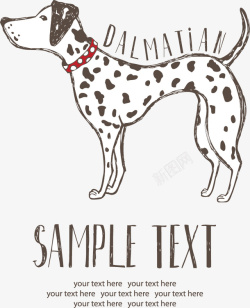 斑点狗设计手绘斑点狗狗素材高清图片