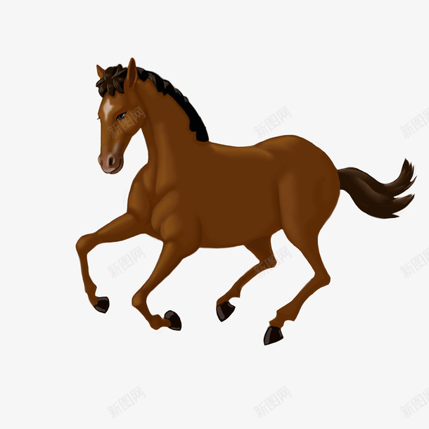 小动物插画动物棕色马匹免扣素材元素png免抠素材_新图网 https://ixintu.com 动物 马匹 马 小马