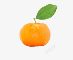 一个水果带叶子的橘子高清图片