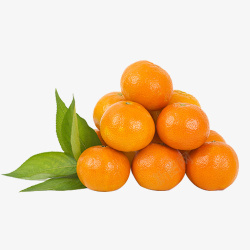 新年橘子水果橘子橙子一堆橘子高清图片