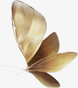 中国风金色蝴蝶中国风高清图片