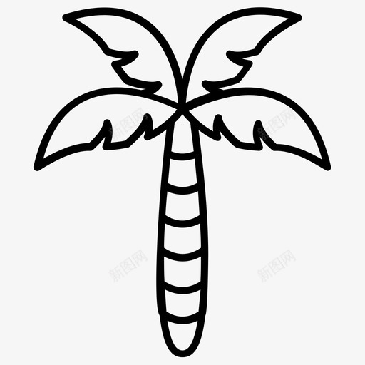 山毛榉树椰子树棕榈树svg_新图网 https://ixintu.com 棕榈树 毛榉树 椰子树 夏季 线条 图标