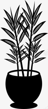 生姜植物植物盆栽植物图标