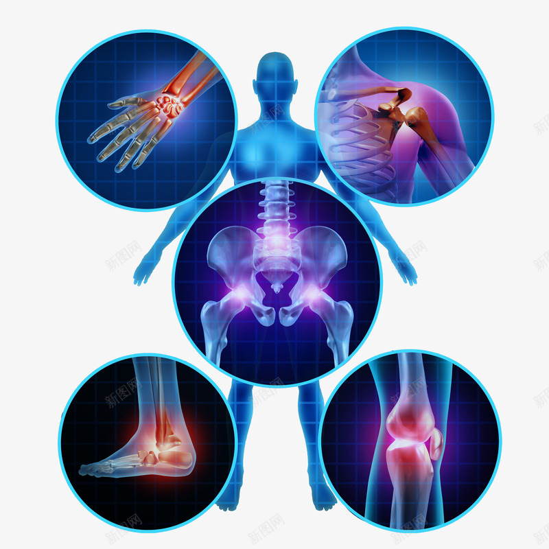关节痛png免抠素材_新图网 https://ixintu.com 关节