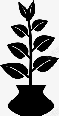 植物叶子树图标
