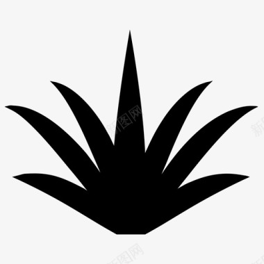 多汁植物龙舌兰植物芦荟图标