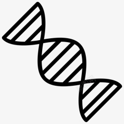基因组成基因基因组成dna测试高清图片