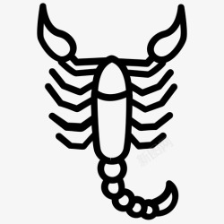 艺术蝎子蝎子纹身纹身艺术纹身设计高清图片