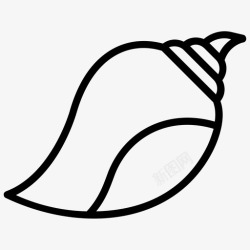 贝壳线图贝壳蛤蜊海螺壳高清图片