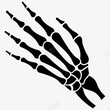 骨骼手手骨骼骨骼手实体图标图标