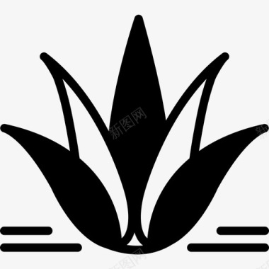 龙舌兰芦荟仙人掌图标