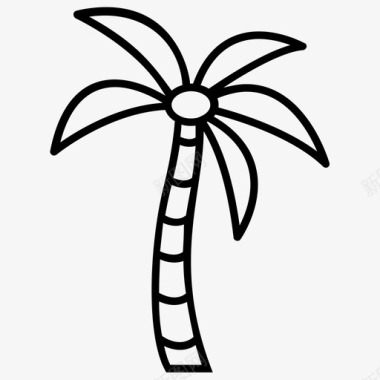 椰树椰子树山毛榉树图标