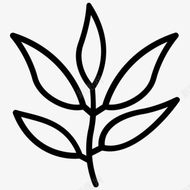百里香叶子有机图标