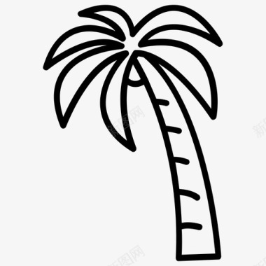 棕榈树海滩树椰子树图标