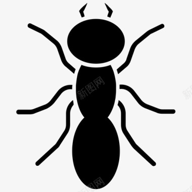 蚂蚁甲虫虫子图标