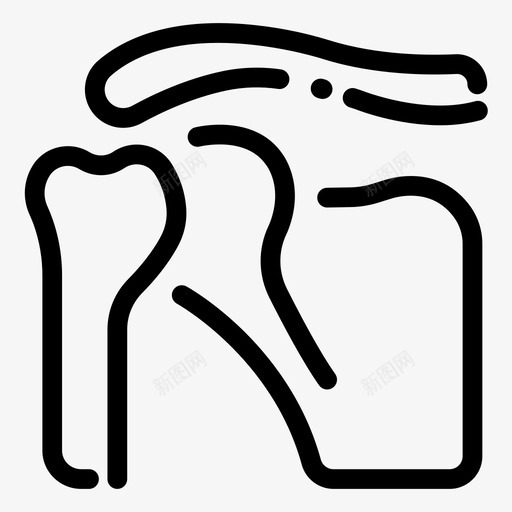 肩骨医学解剖学骨骼svg_新图网 https://ixintu.com 医学 肩骨 解剖学 骨骼 大纲
