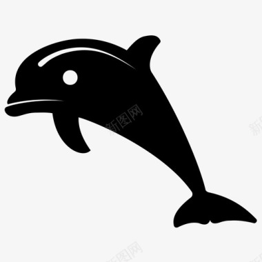 海豚动物水生动物图标