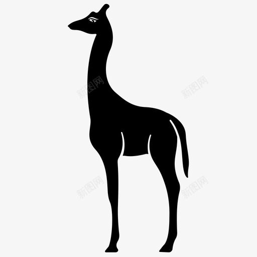 长颈鹿动物骆驼豹svg_新图网 https://ixintu.com 动物 长颈鹿 骆驼 豹最 大的 反刍动物 哺乳动物 字形 图标