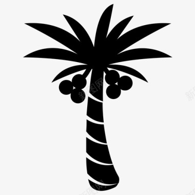 椰子树山毛榉树森林树图标