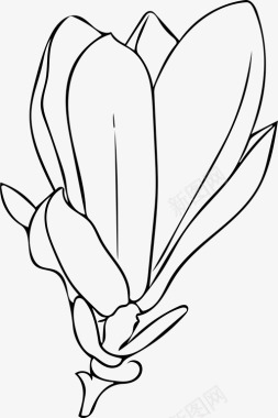 木兰花花芽图标