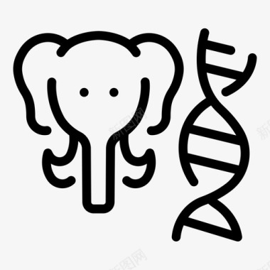 科学动物学哺乳动物学大象野生动物图标