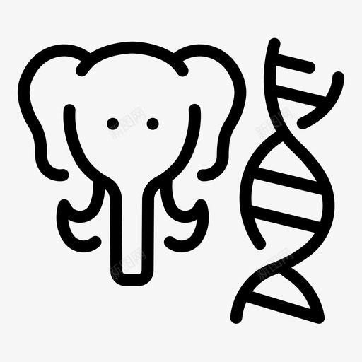 科学动物学哺乳动物学大象野生动物svg_新图网 https://ixintu.com 动物学 科学 哺乳 哺乳动物 大象 野生动物 分类 大纲