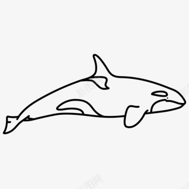 虎鲸致命的海豚图标