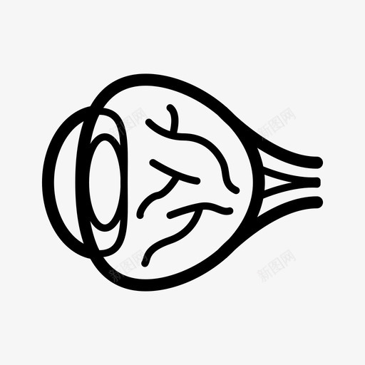 眼球眼睛眼科svg_新图网 https://ixintu.com 眼球 眼睛 眼科 视神经 人体 器官 疾病