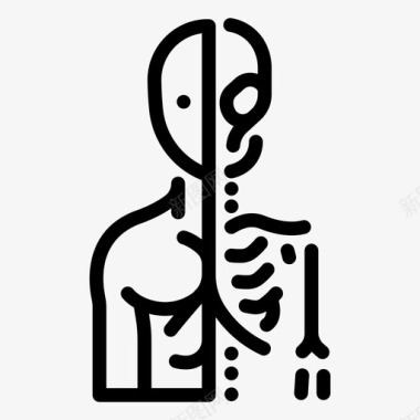 科学解剖学生物学医学图标