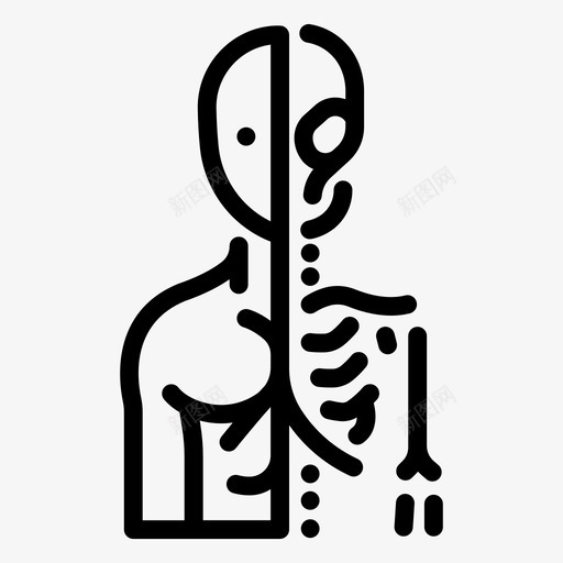 科学解剖学生物学医学svg_新图网 https://ixintu.com 科学 解剖学 生物学 医学 骨骼 大纲 类型