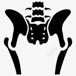 人体骨骼强壮骨盆骨骼身体部分人体解剖学高清图片