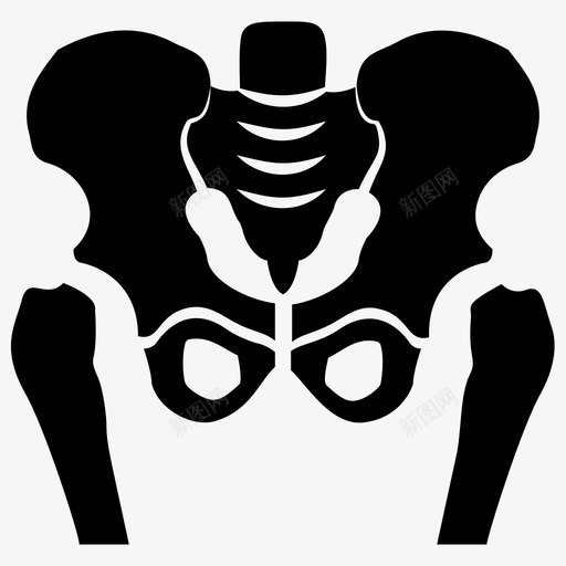 骨盆骨骼身体部分人体解剖学svg_新图网 https://ixintu.com 骨盆 骨骼 骨科 身体 部分 人体 解剖学 骨关节 关节炎 脊柱 图标